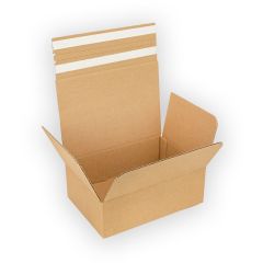 CARDBOARD POSTAL BOX RETURNABLE BROWN 290X208X95MM