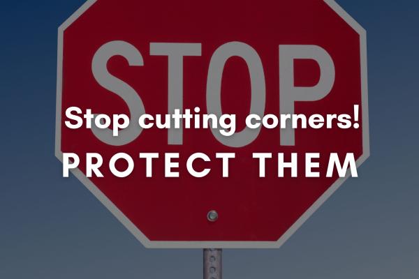 Edge Guards – Protect Corners (Don’t cut them!)