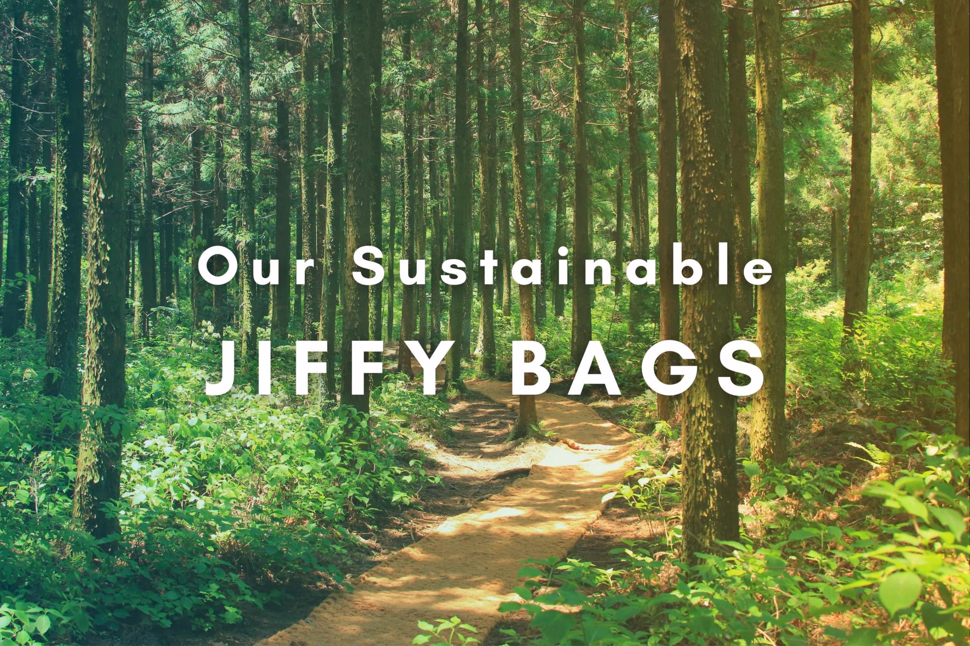 Sustainable Jiffy Bags