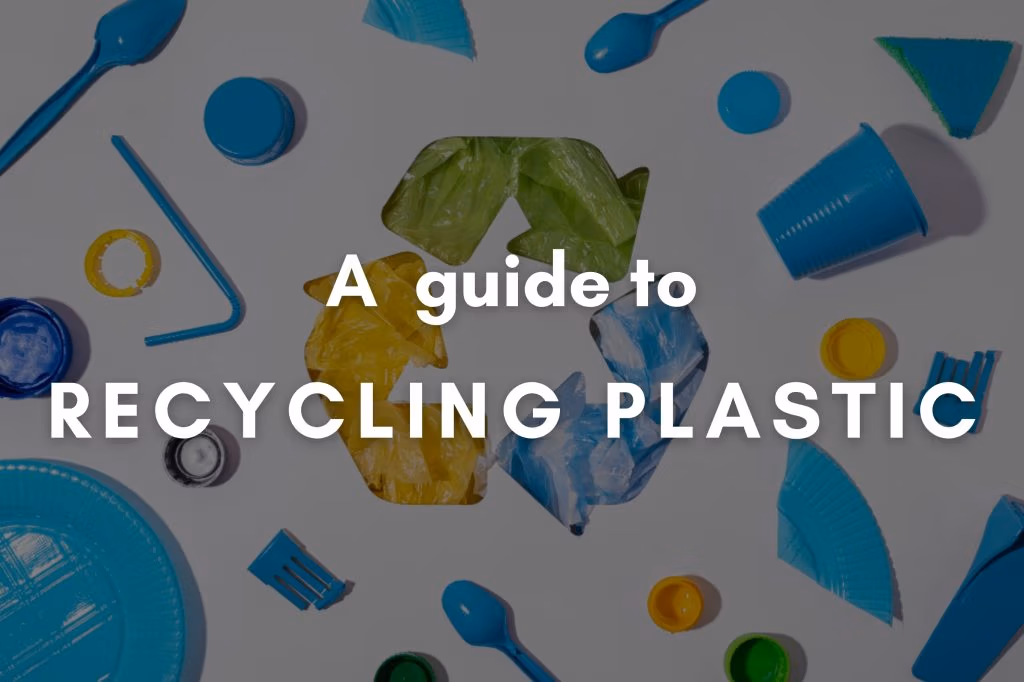 Recycling Plastic: A Guide for Eco-Conscious Consumers