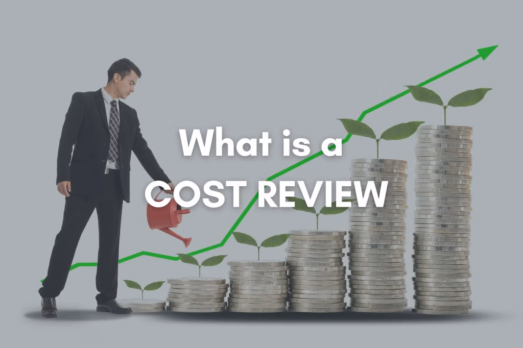 What is a Springpack Cost Review?